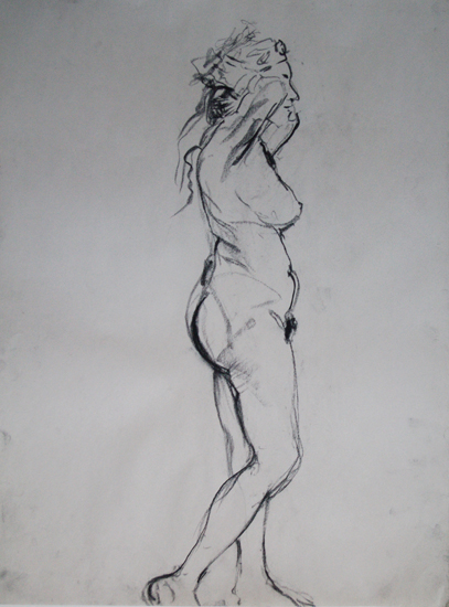 2010 086